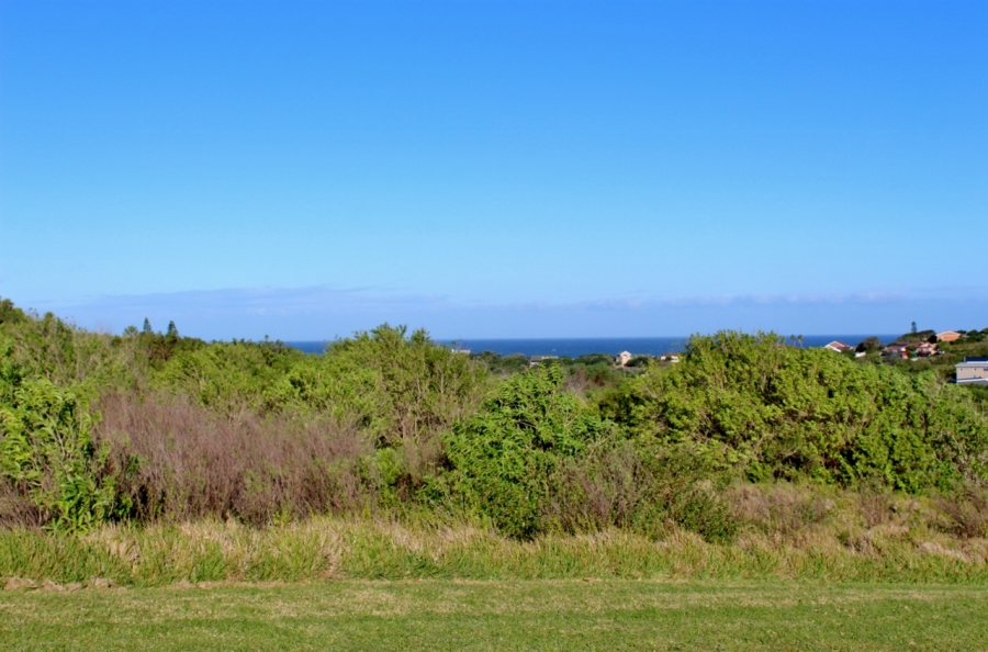 0 Bedroom Property for Sale in Forest Downs Eastern Cape
